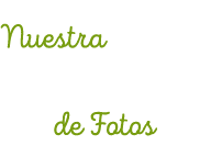 Galeria de fotos